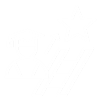 LifeVitae Express Logo